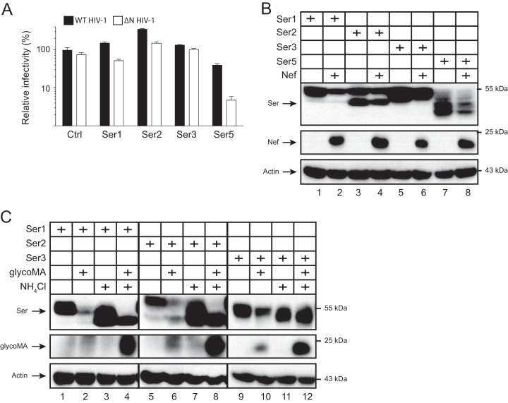 FIG 8