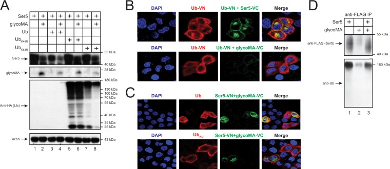 FIG 6