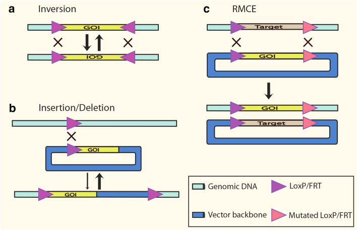 Fig. 3