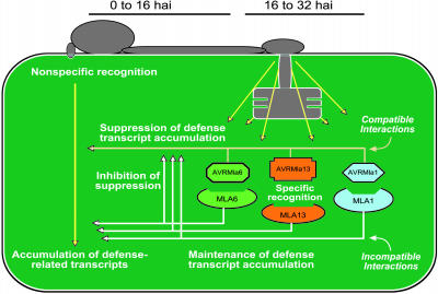 Figure 6.