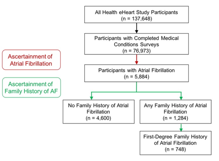 Supplementary Figure 1