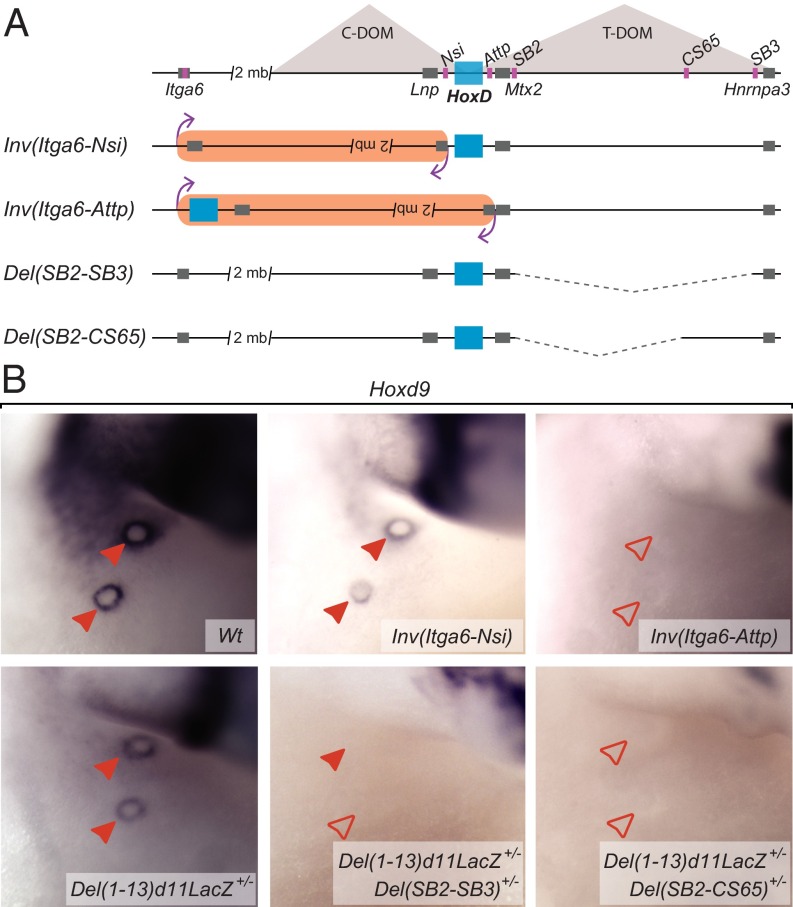 Fig. 4.