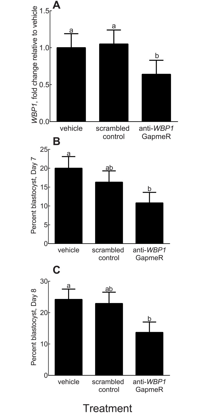 Fig 5