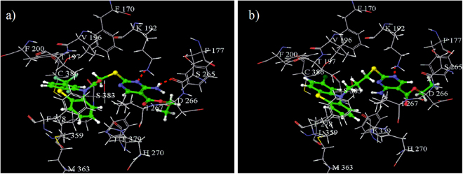 Figure 7