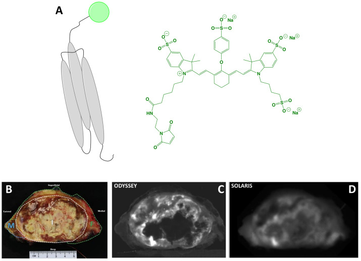 Figure 3