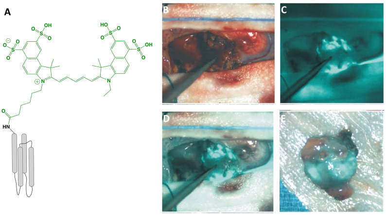 Figure 2