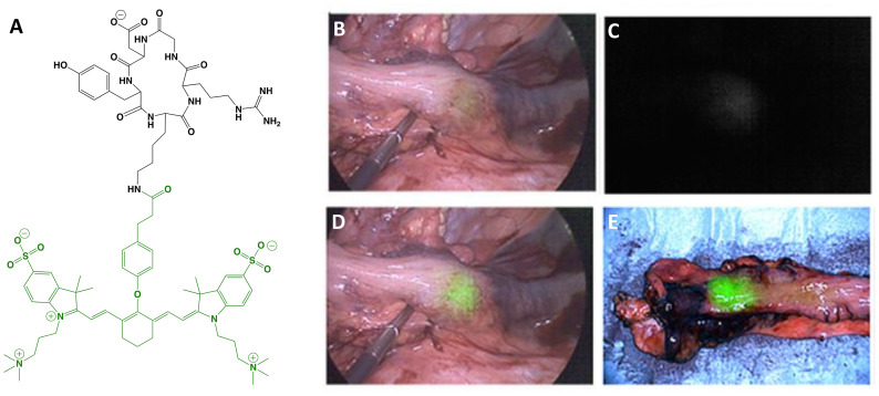 Figure 5