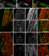 FIGURE 6: