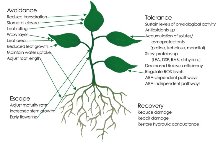 Fig. (1)