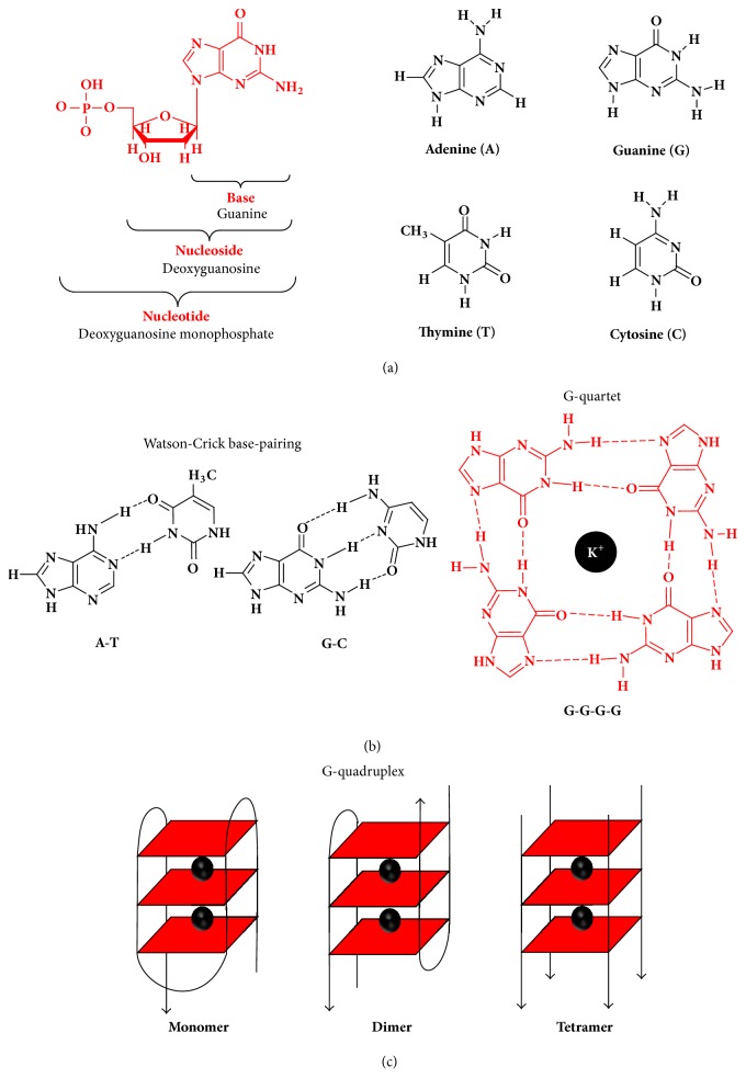 Scheme 2