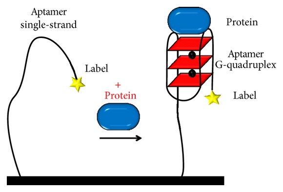 Scheme 5