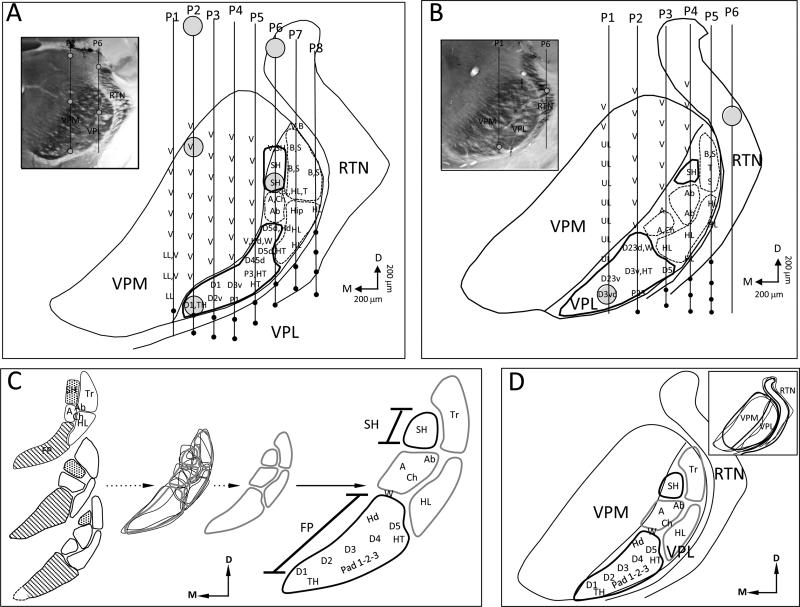 Fig. 1