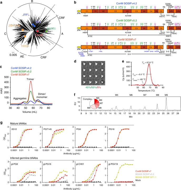 Structure and immunogenicity of a stabilized HIV-1 envelope trimer ...