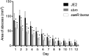 FIG 5