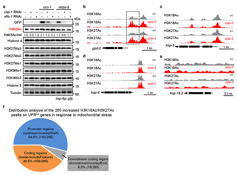 Extended Data Fig. 3