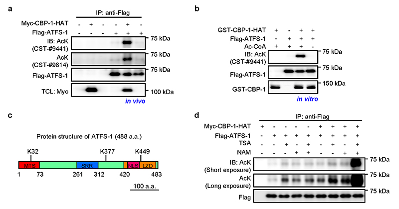 Extended Data Fig. 7