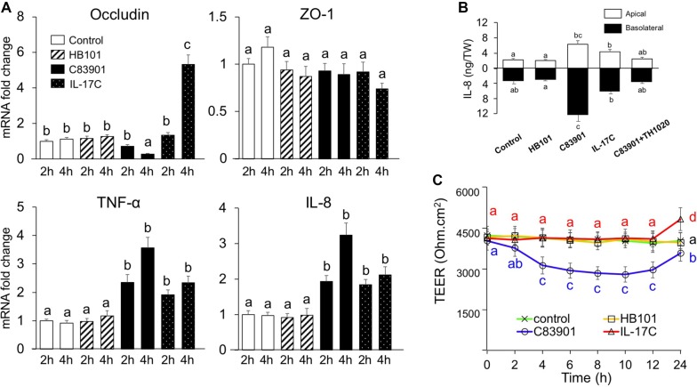 Figure 5