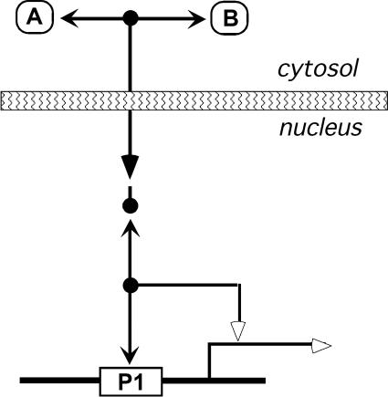 Figure 9.