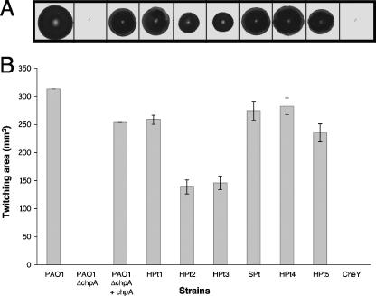 FIG. 2.