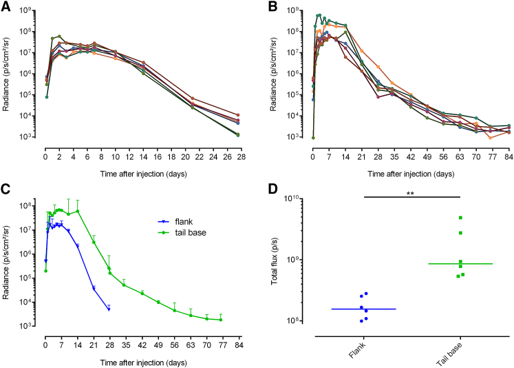 Figure 4