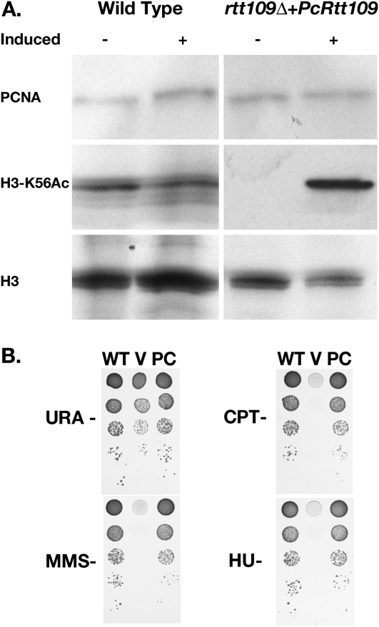 Figure 5.