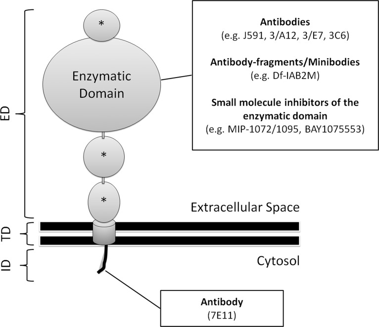 Figure 9.