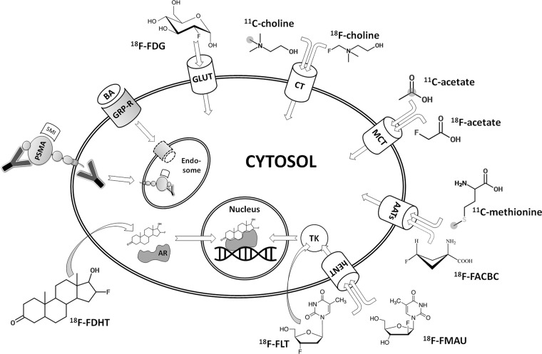 Figure 1.