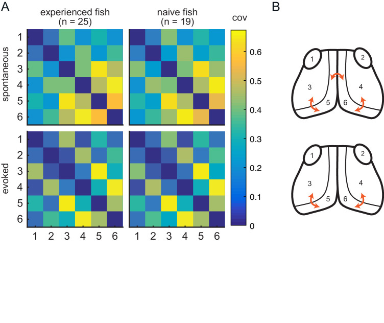 Figure 4—figure supplement 1.