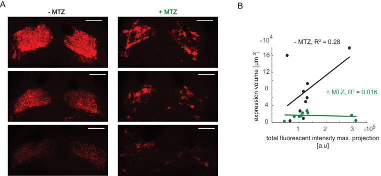 Figure 7—figure supplement 2.