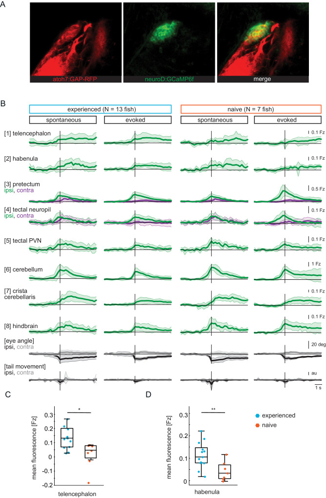 Figure 2—figure supplement 1.