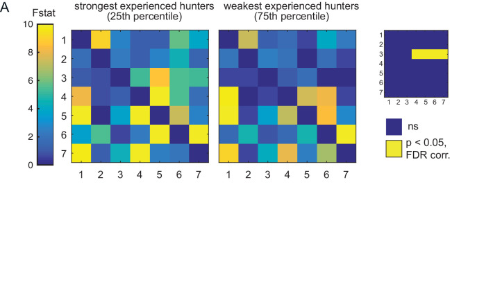 Figure 5—figure supplement 1.