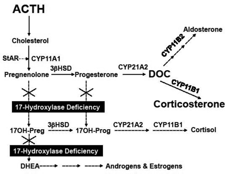 graphic file with name nihms760292f4.jpg