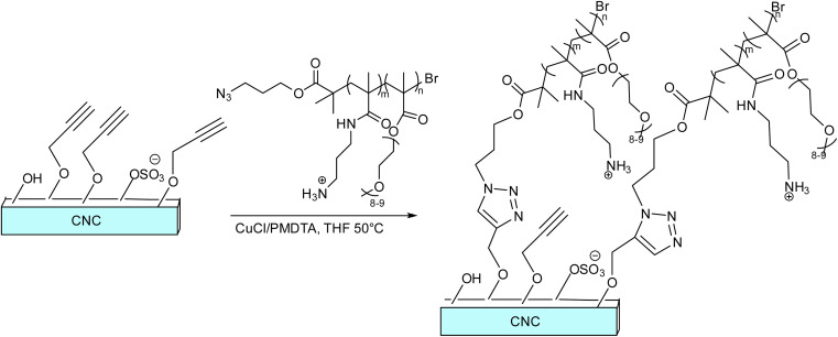 Fig. 19