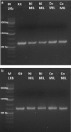 Fig. 6
