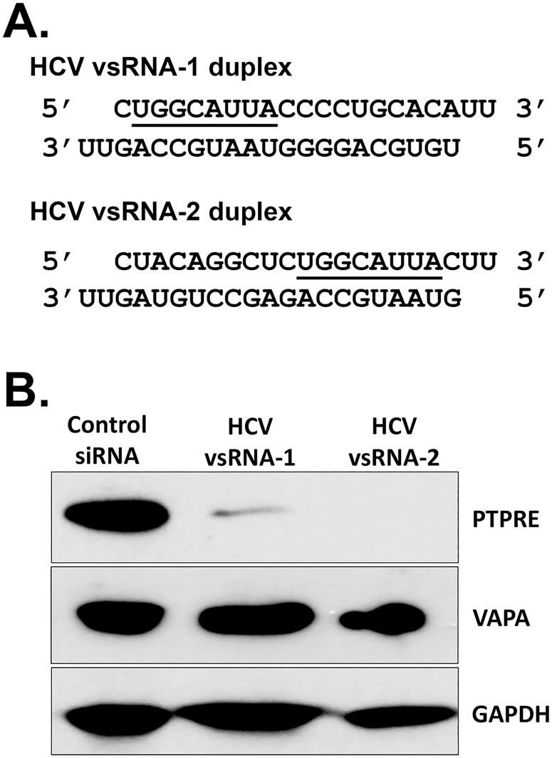 Fig 5