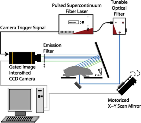 Fig. 1