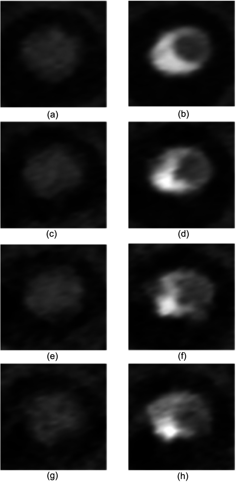 Fig. 7