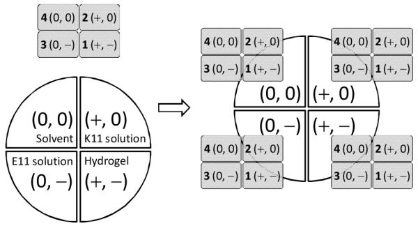 Scheme 2