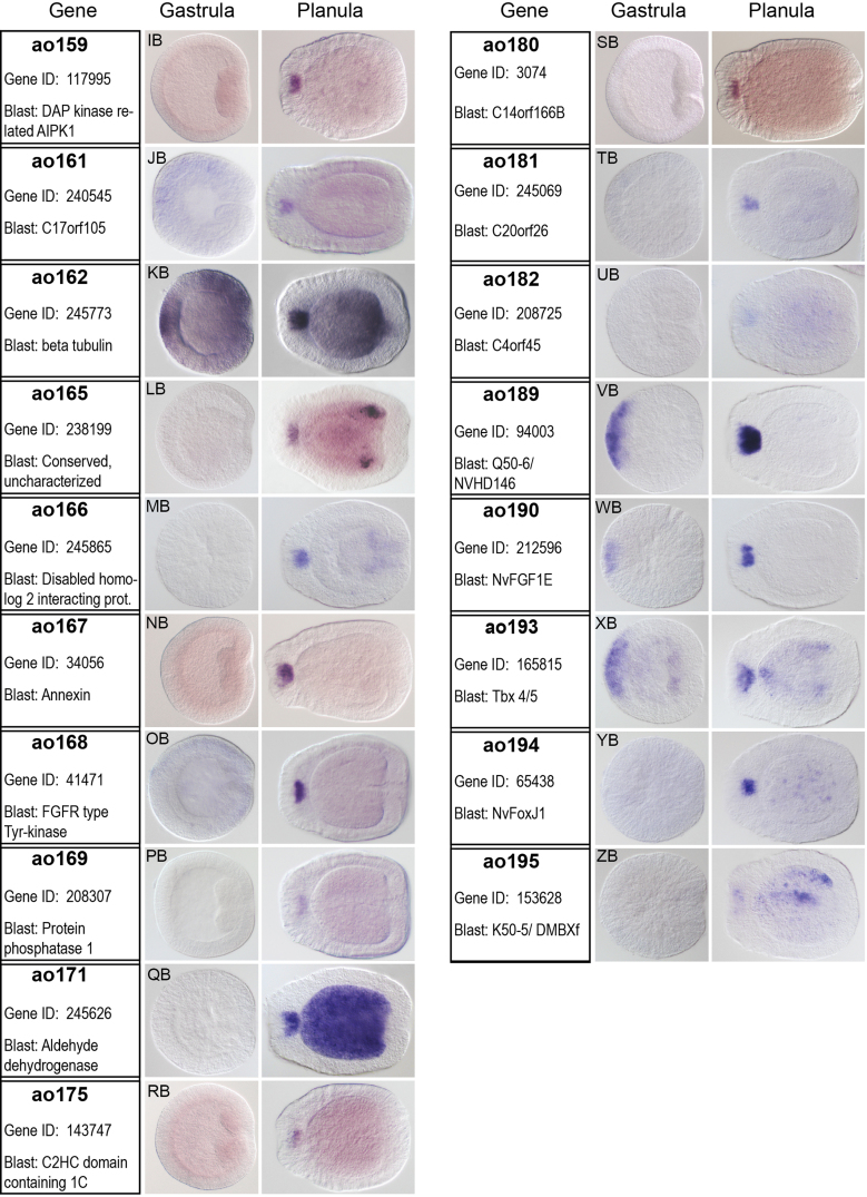Fig. S2-4