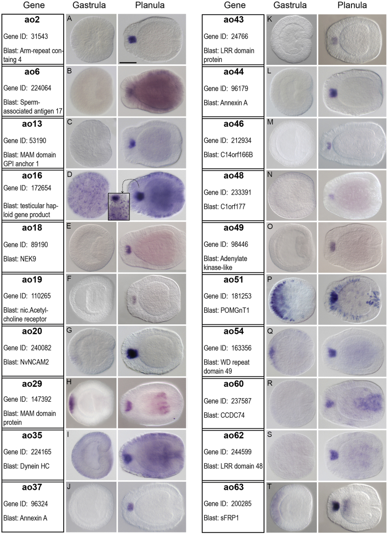 Fig. S2-1