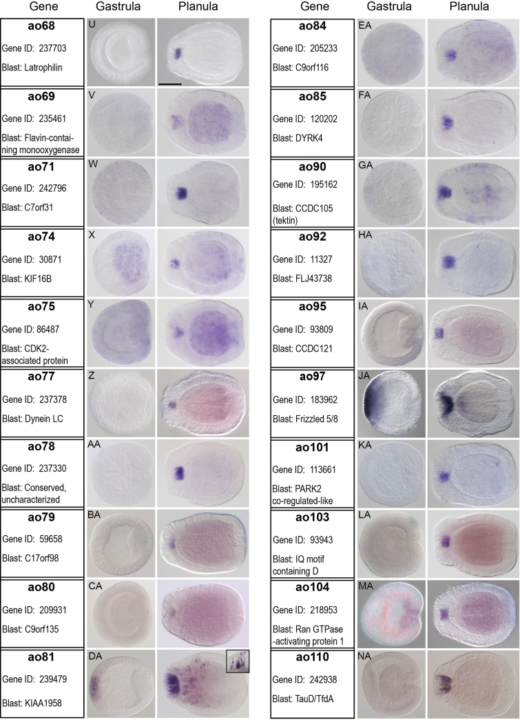 Fig. S2-2