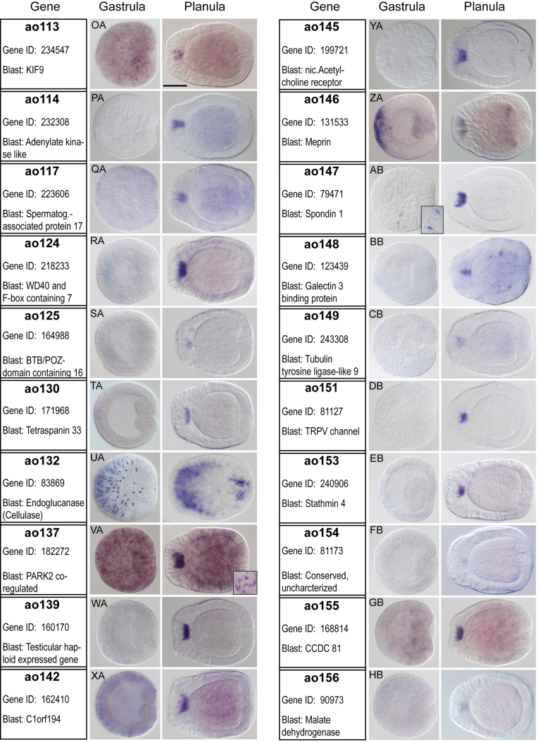 Fig. S2-3