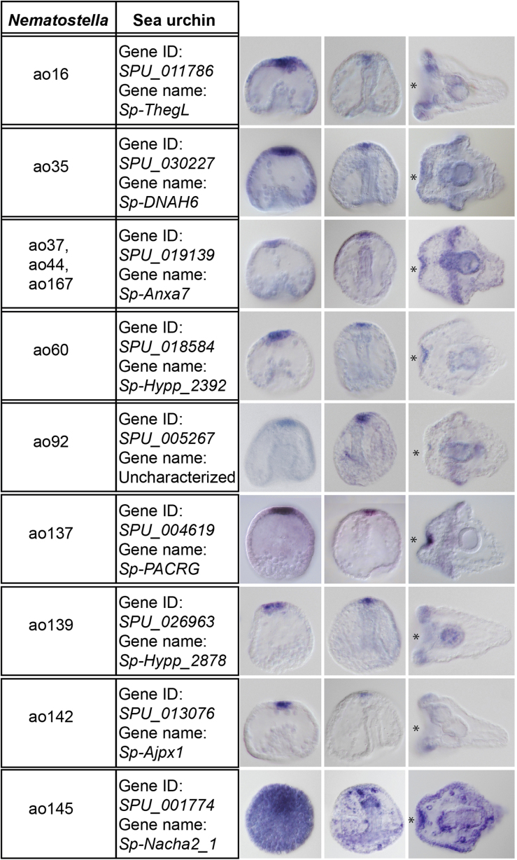 Fig. S3-1