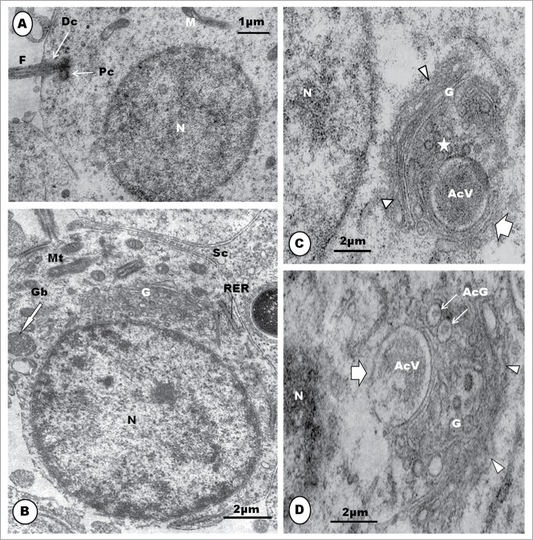 Figure 13.