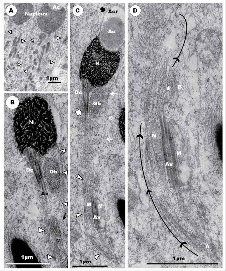 Figure 16.