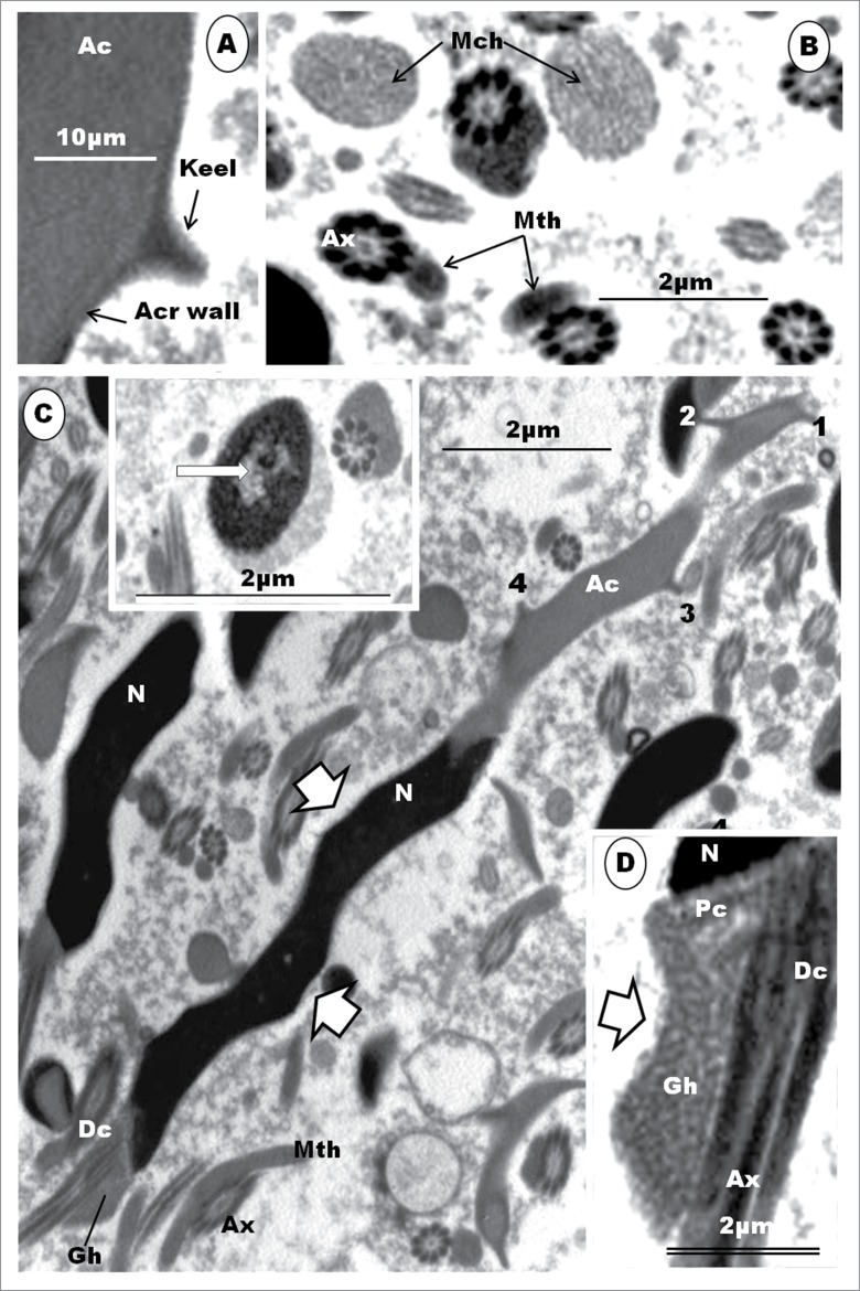 Figure 21.