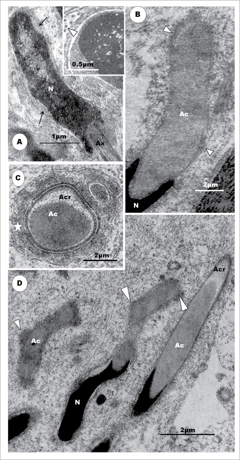 Figure 18.