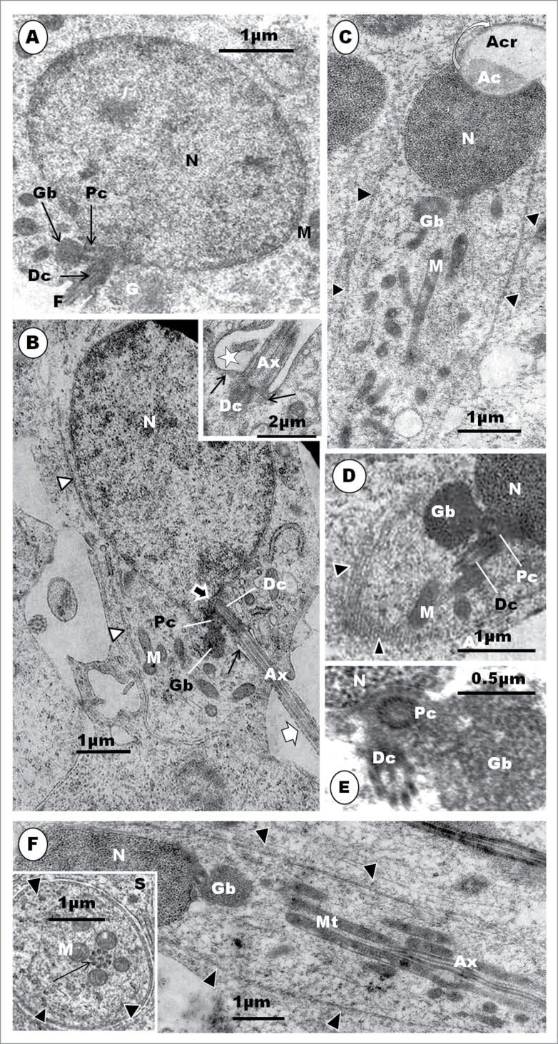 Figure 15.