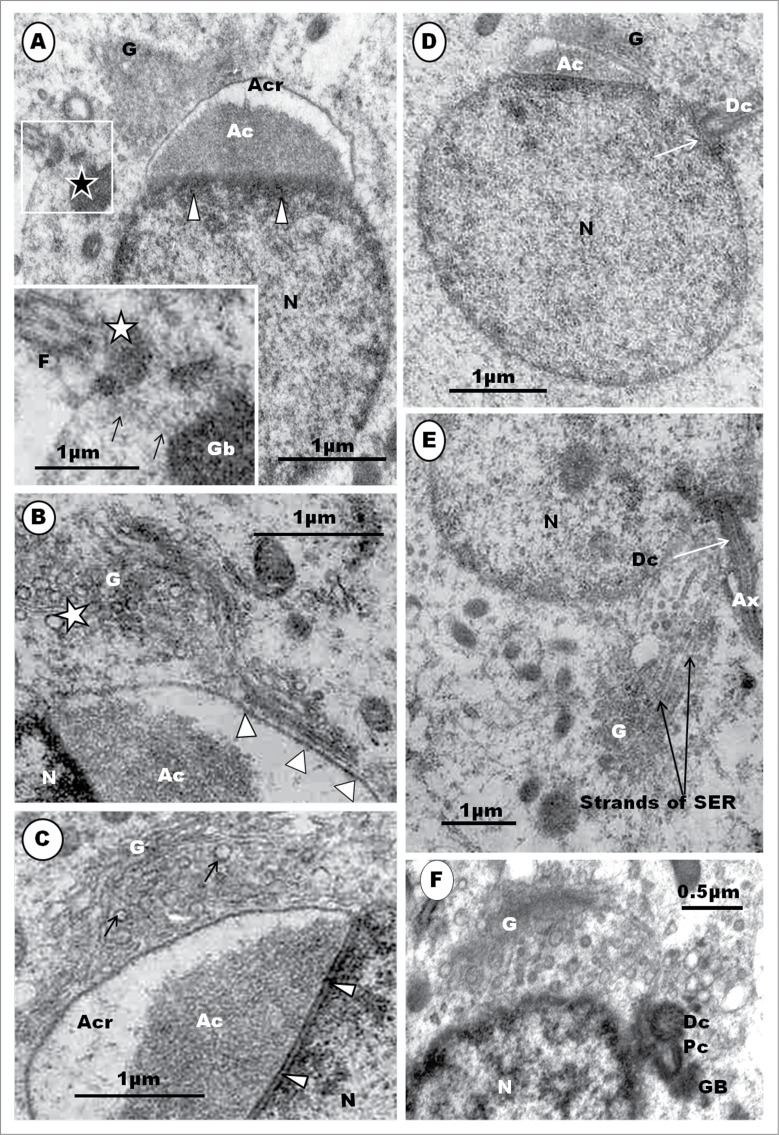 Figure 14.