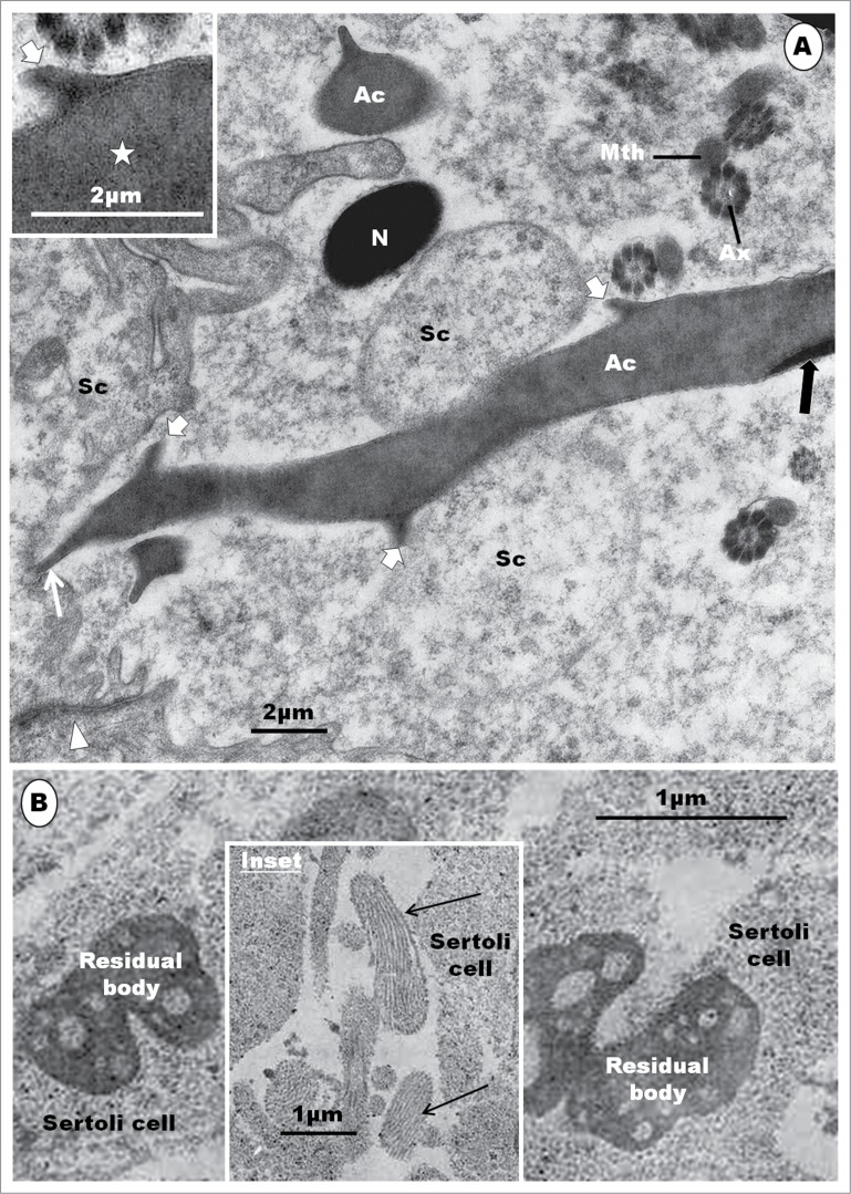 Figure 20.